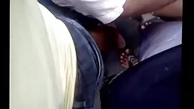 Musim panas Pelajar  ...